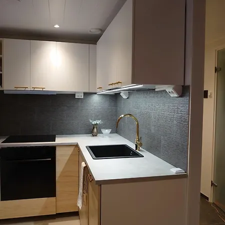 Tahkontintinlenkki Appartement Tahkovuori